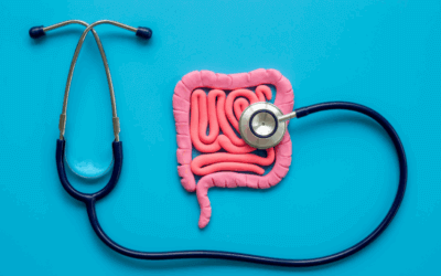 Digestion From Top To Bottom