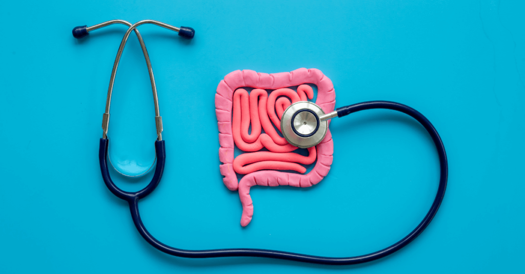 Digestion From Top To Bottom