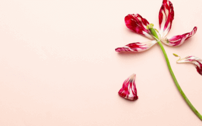 Lost Your Spark? How Hormones Impact Your Libido (and How to Fix It!)