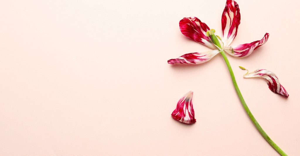 Lost Your Spark? How Hormones Impact Your Libido (and How to Fix It!)